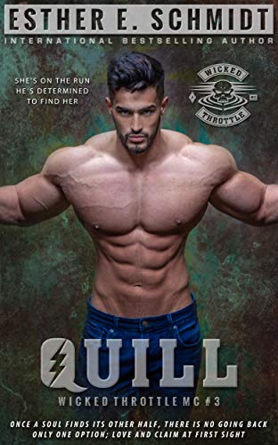 Wicked Throttle MC book cover 3