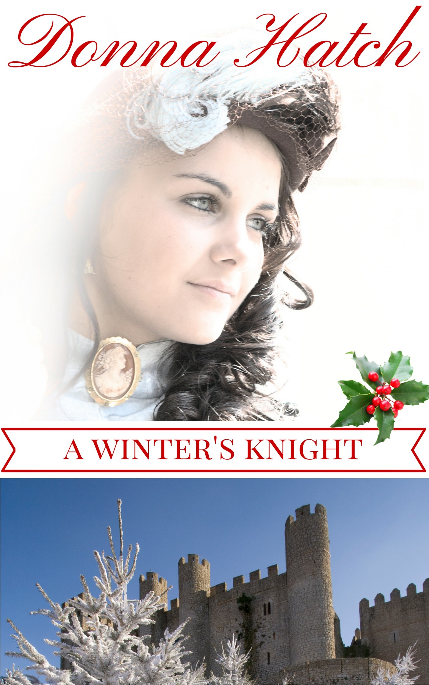 A Winter's Knight book cover