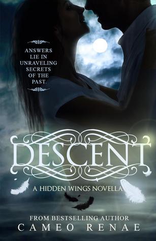 Descent book cover