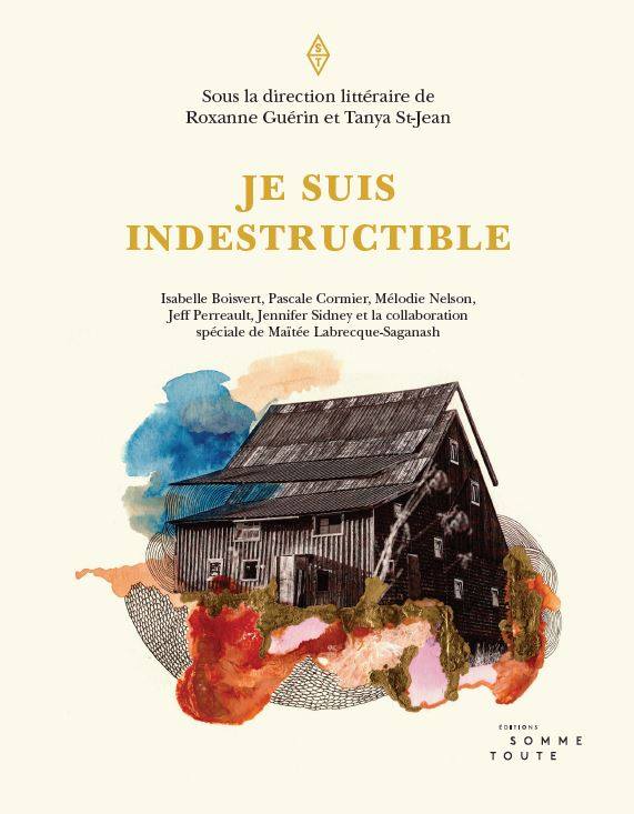 Je suis indestructible book cover