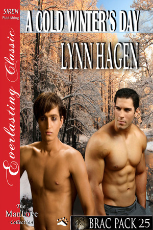 A Cold Winter's Day book cover