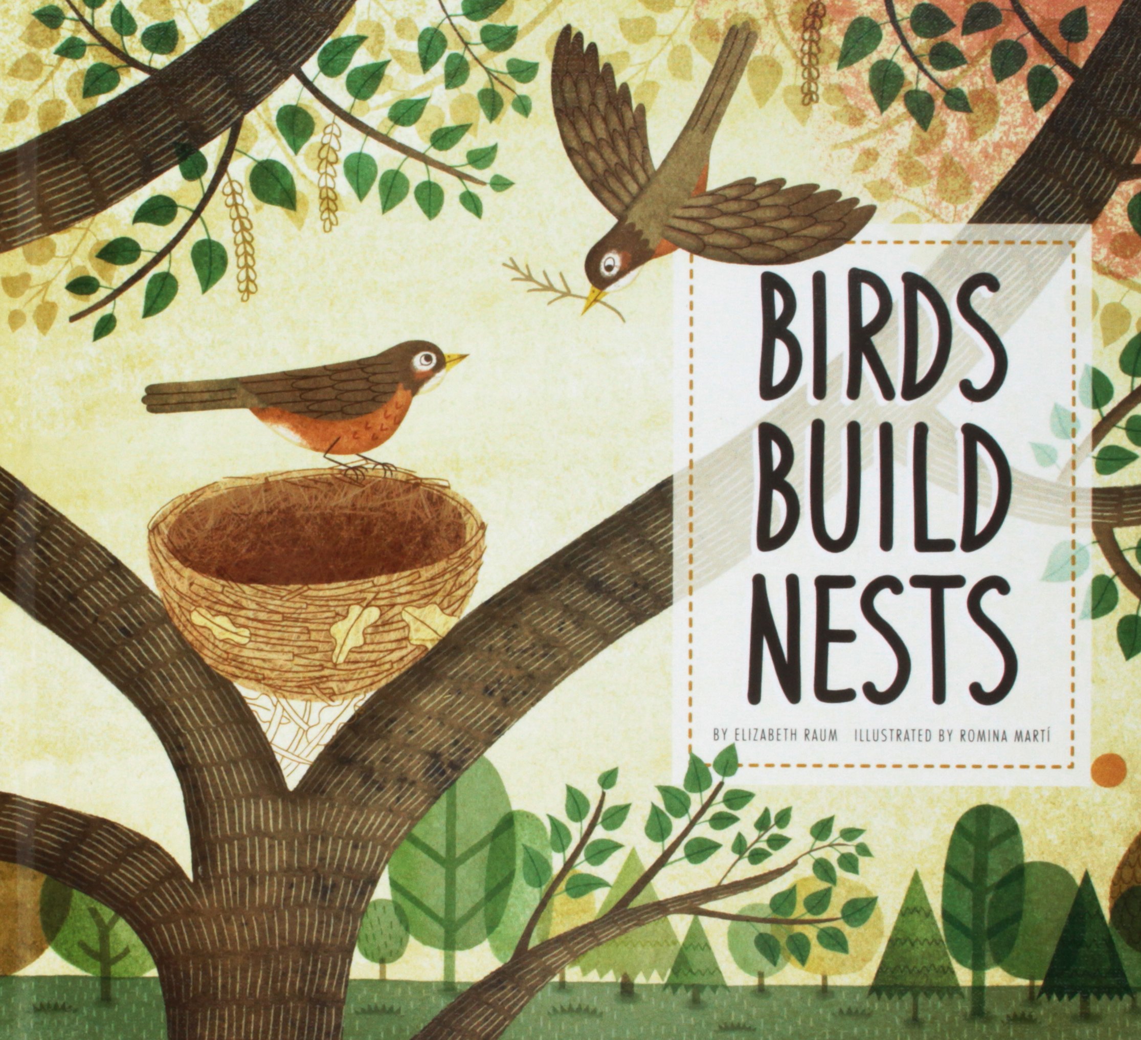 Birds Build Nests book cover