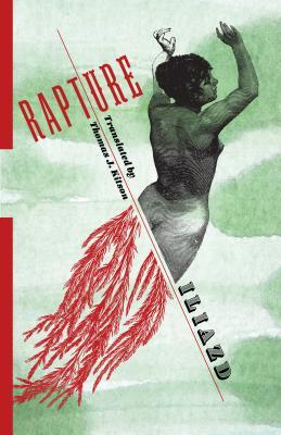 Rapture book cover