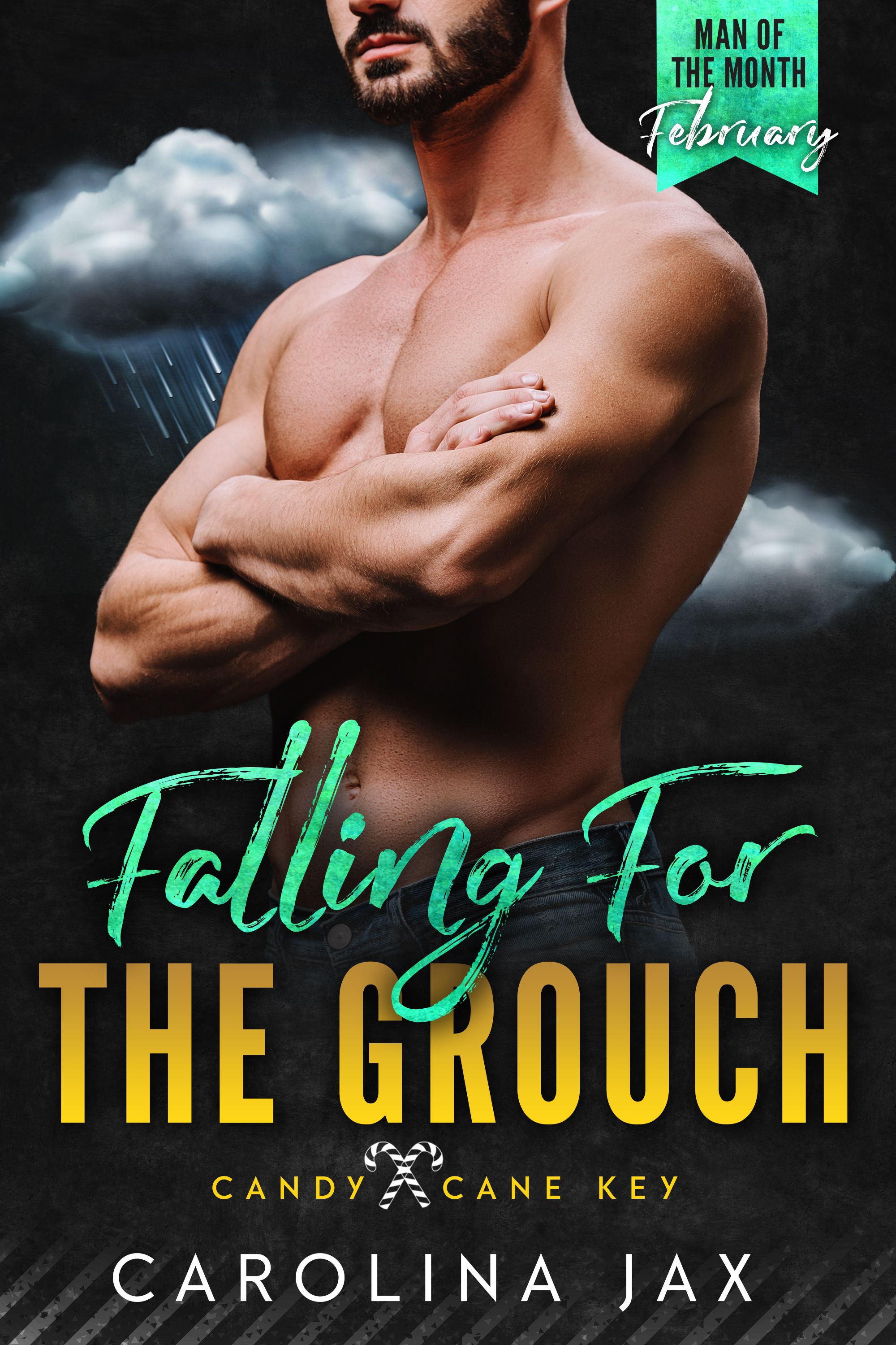 Falling For the Grouch book cover