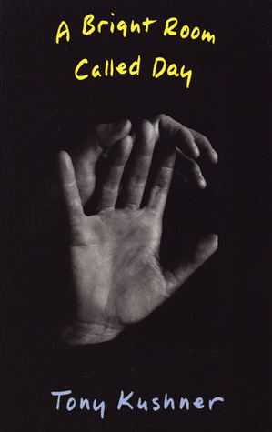 A Bright Room Called Day book cover