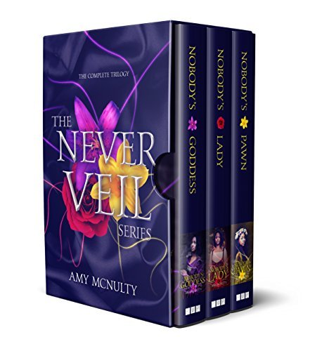 The Never Veil Series book cover
