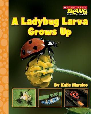 A Ladybug Larva Grows Up book cover