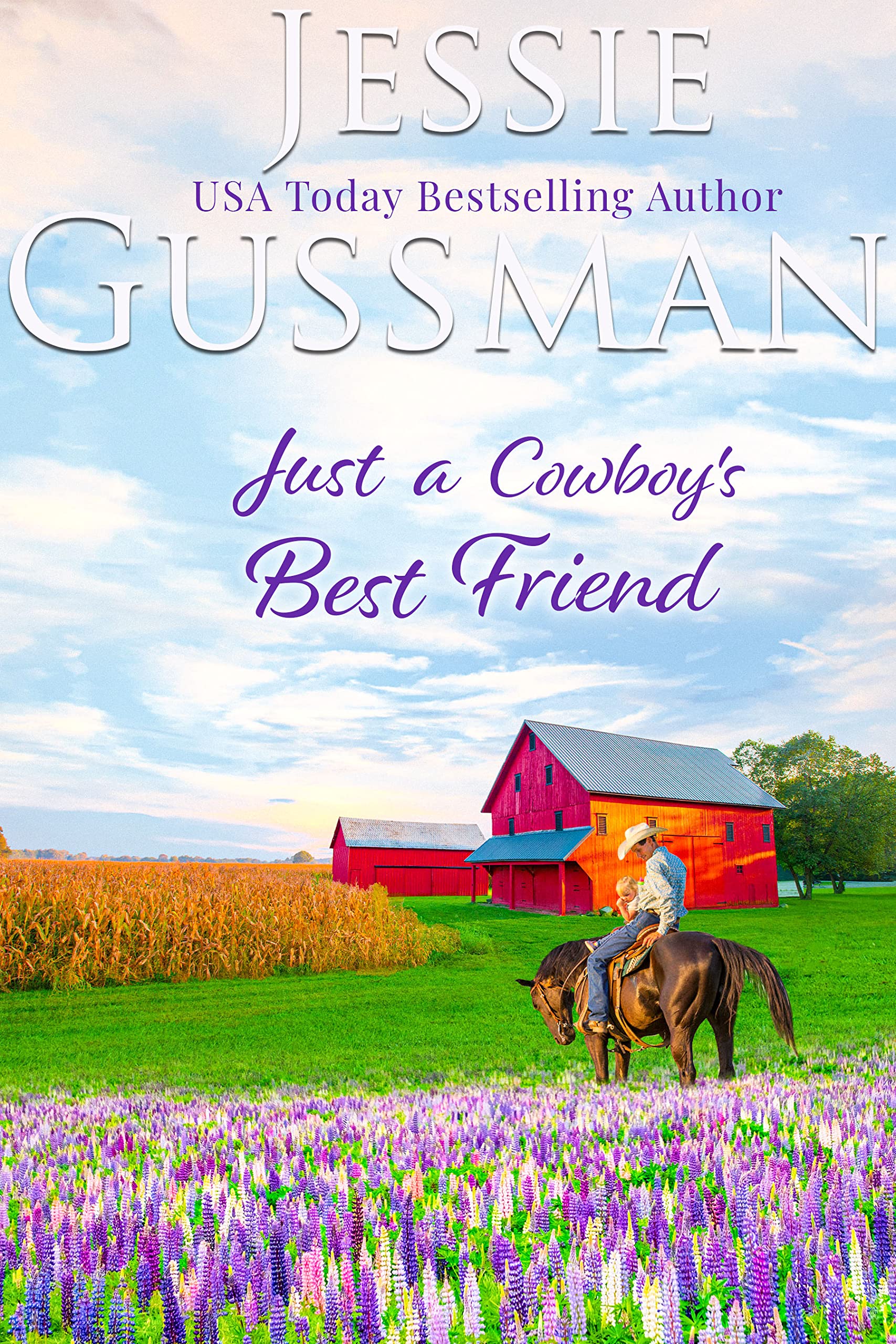 Flyboys of Sweet Briar Ranch in North Dakota book cover 1