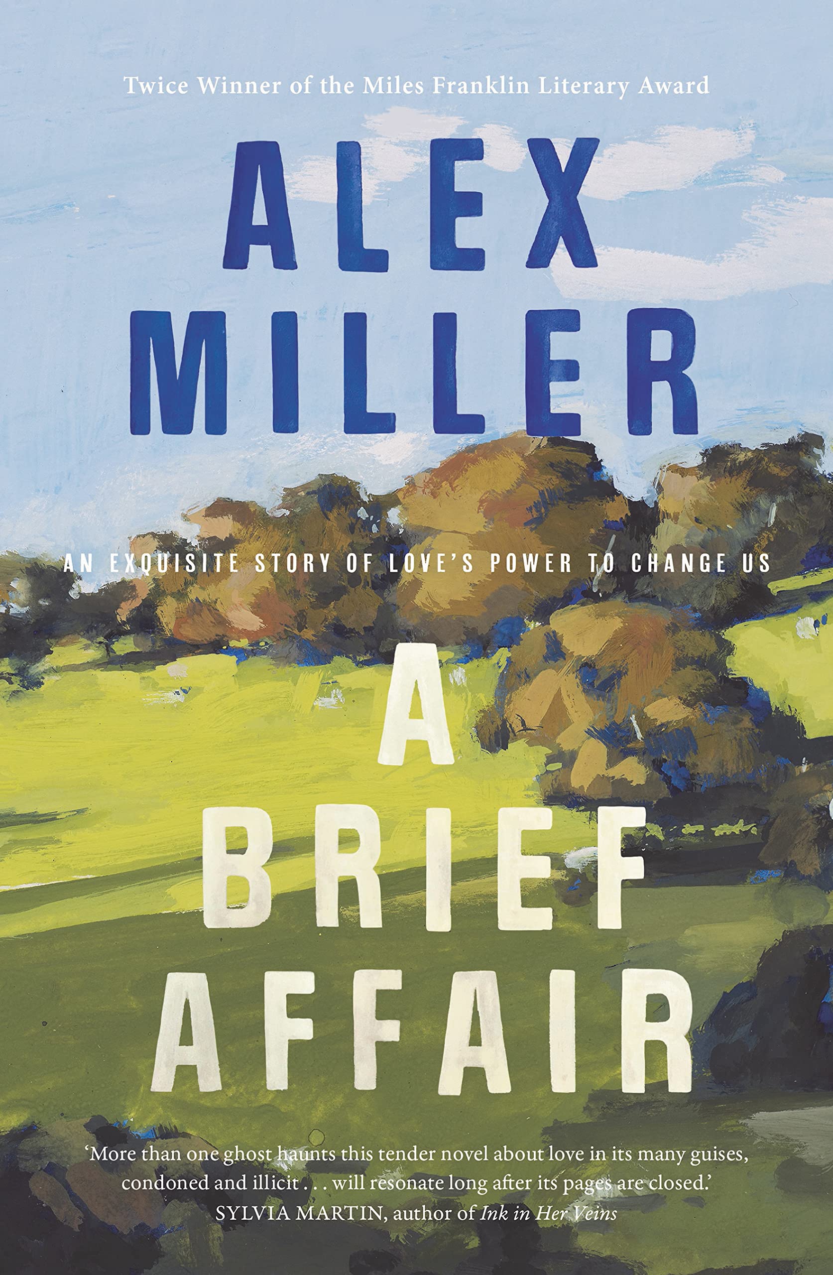 A Brief Affair book cover