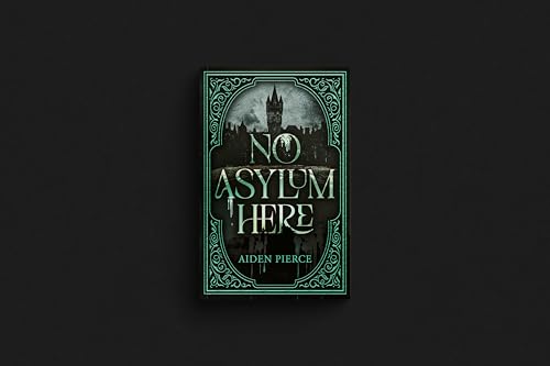 No Asylum Here book cover