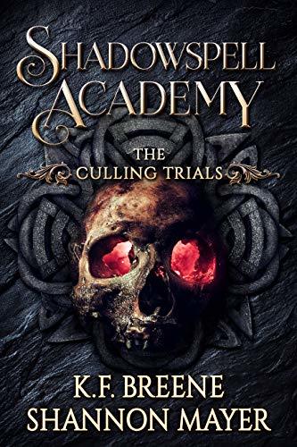 Shadowspell Academy book cover 2