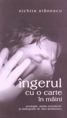 Îngerul cu o carte in mâini book cover