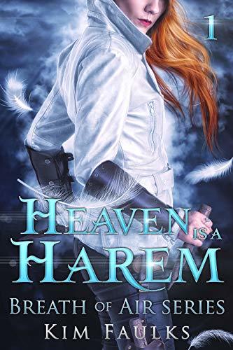 Heaven is a Harem book cover