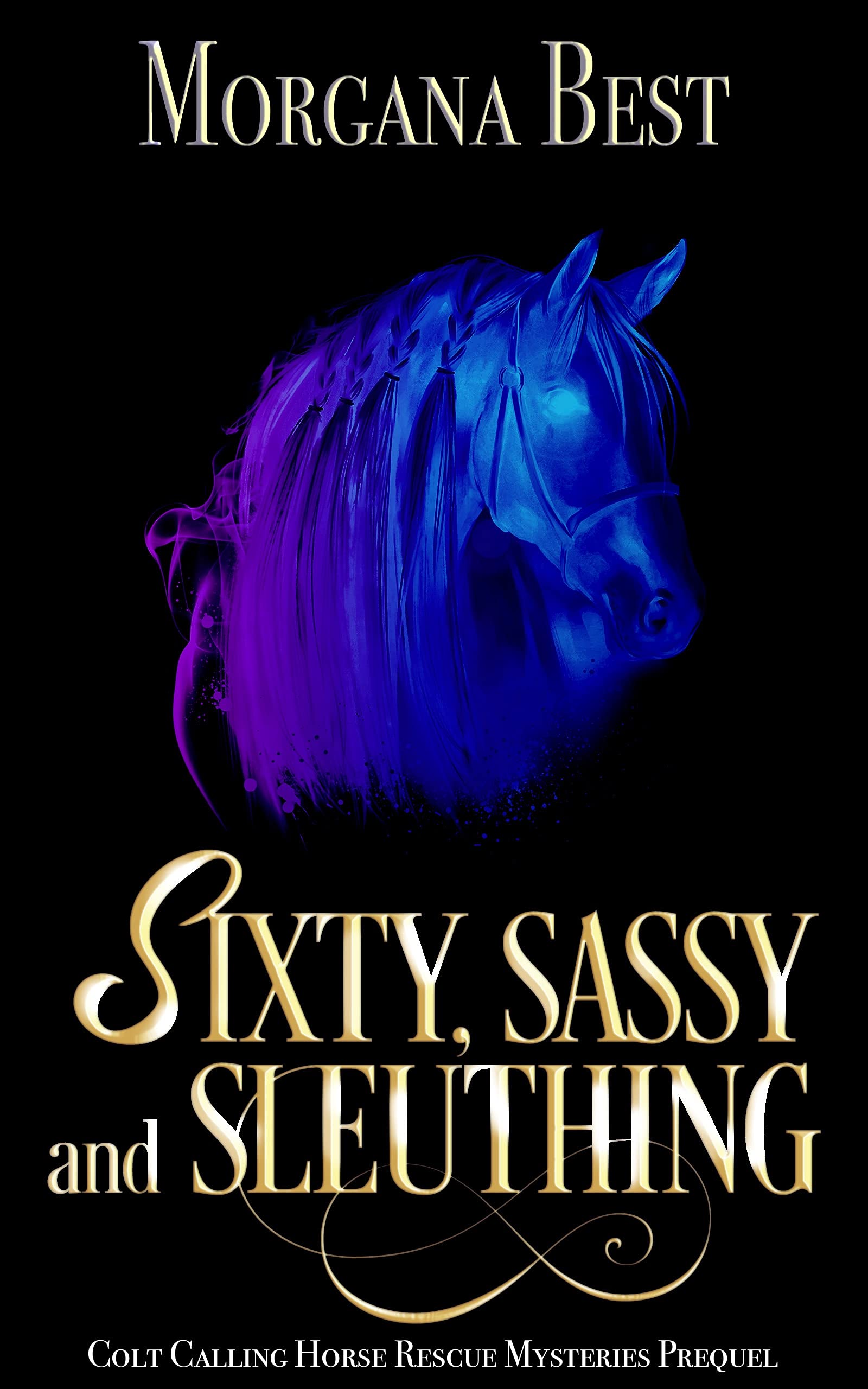 Sixty, Sassy, and Sleuthing book cover