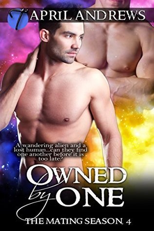 Owned by One book cover