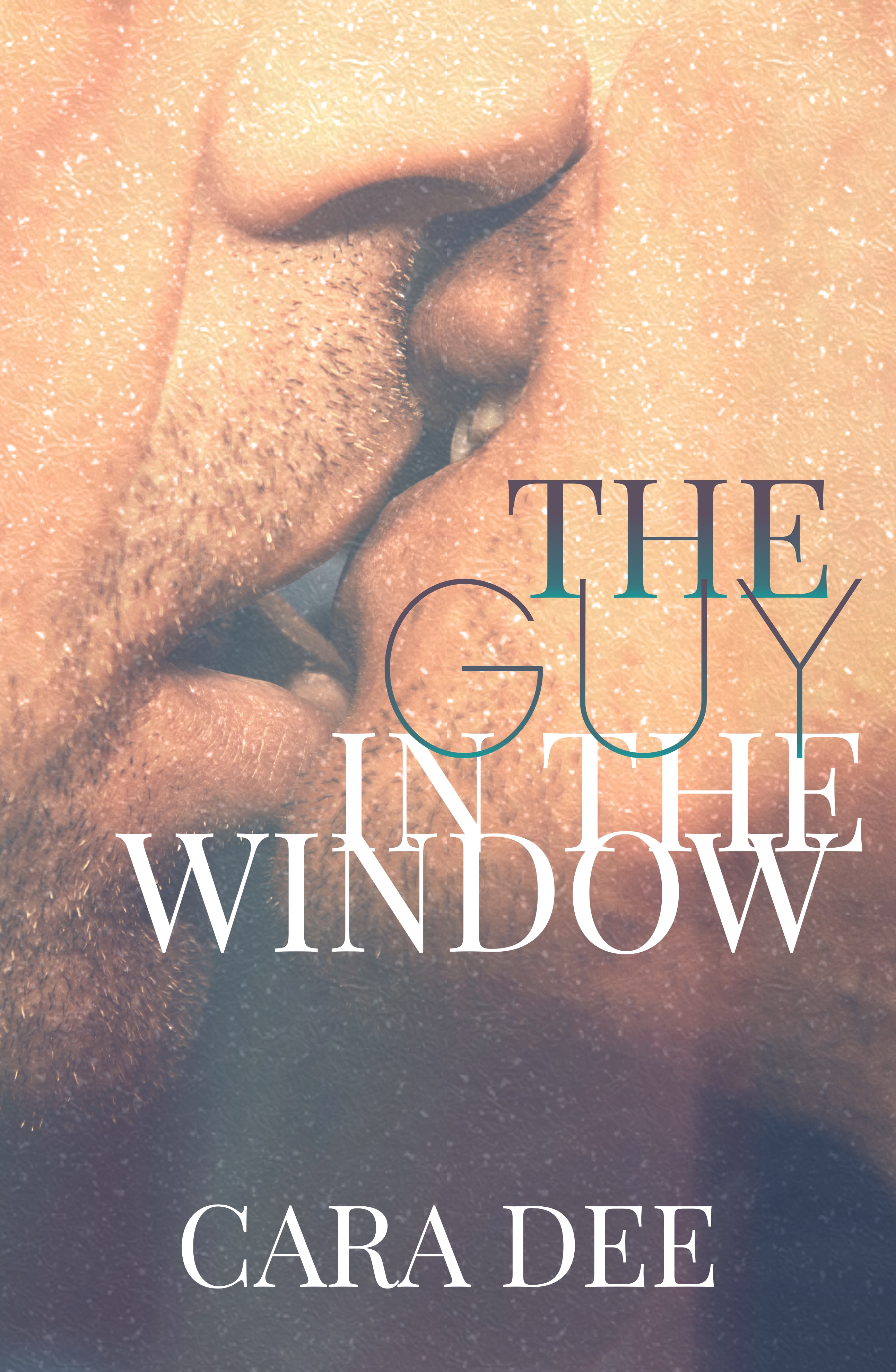 The Guy in the Window book cover