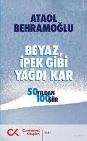 Beyaz İpek Gibi Yağdı Kar book cover