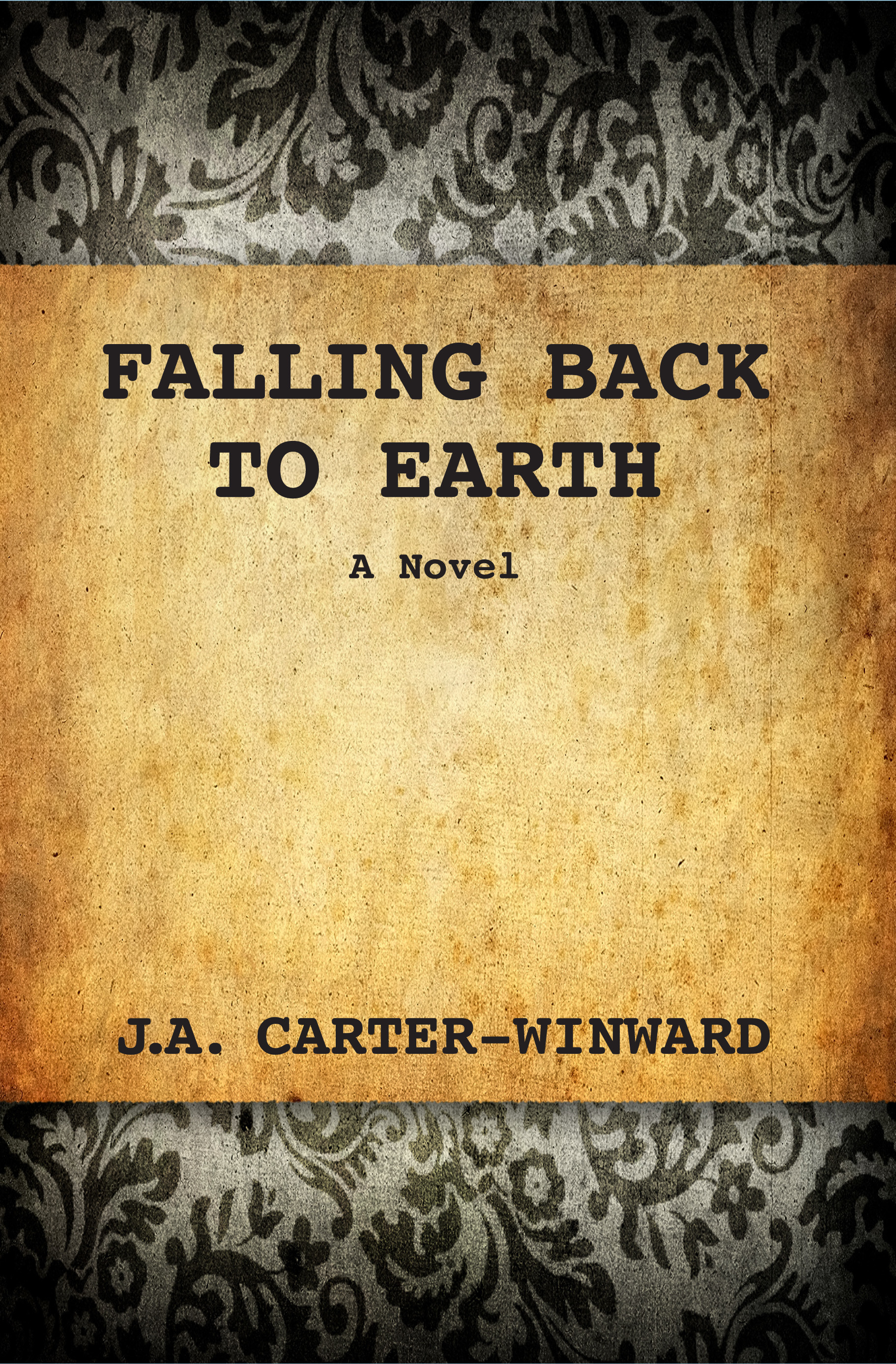 Falling Back to Earth book cover