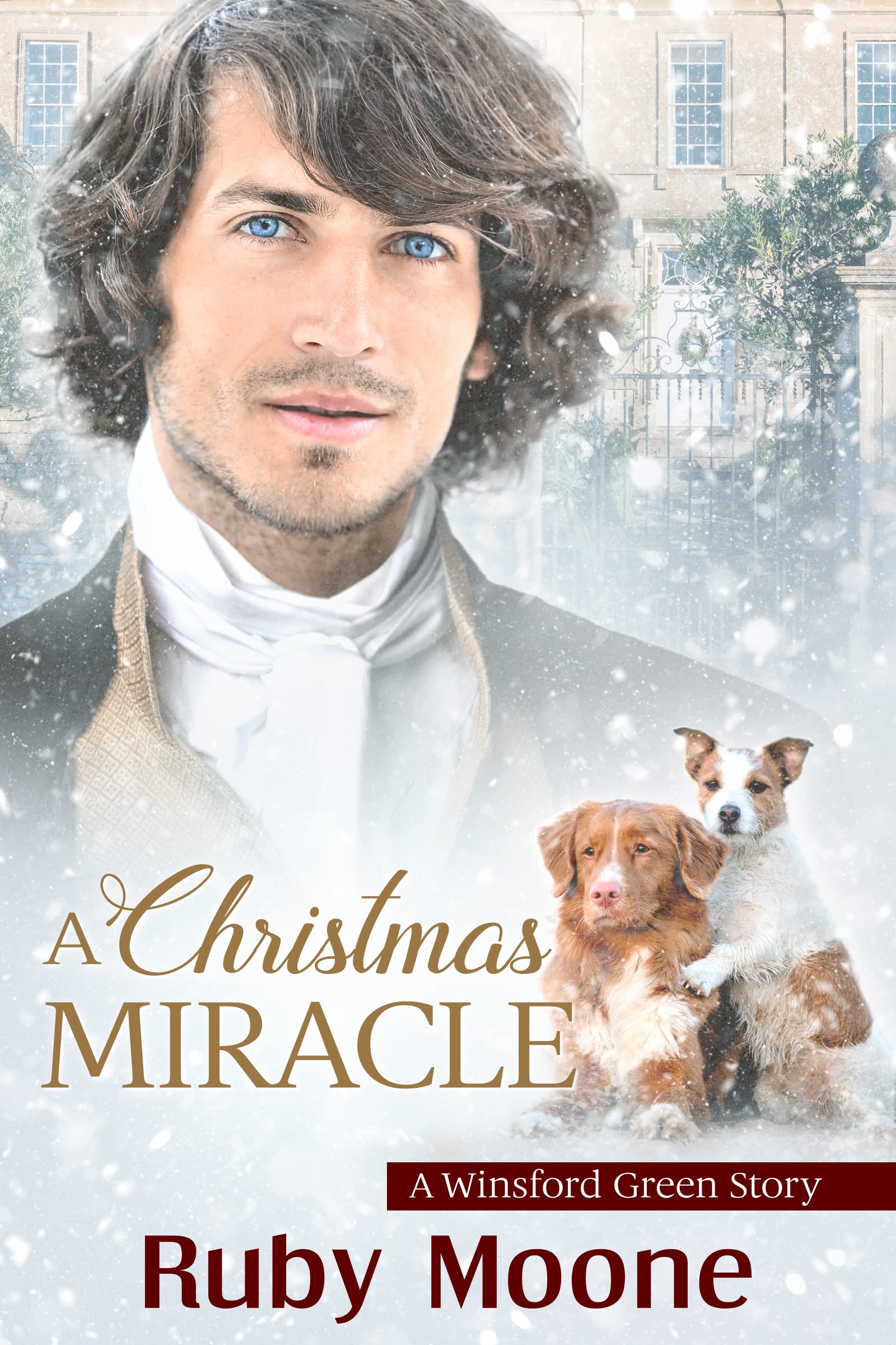 A Christmas Miracle book cover