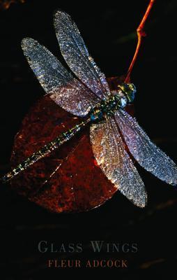 Glass Wings book cover
