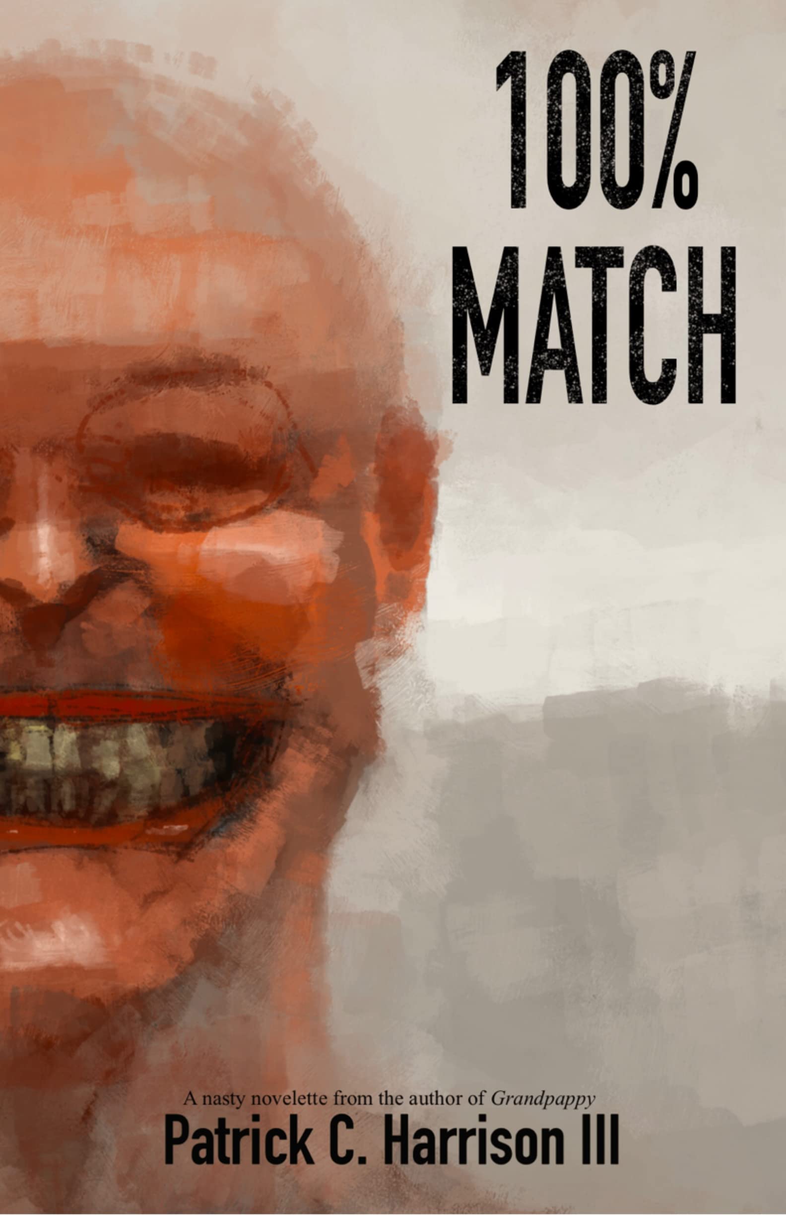 100% Match book cover