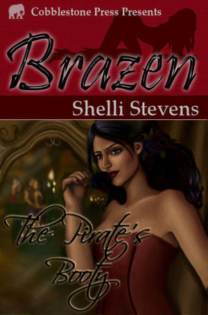 The Pirate's Booty book cover