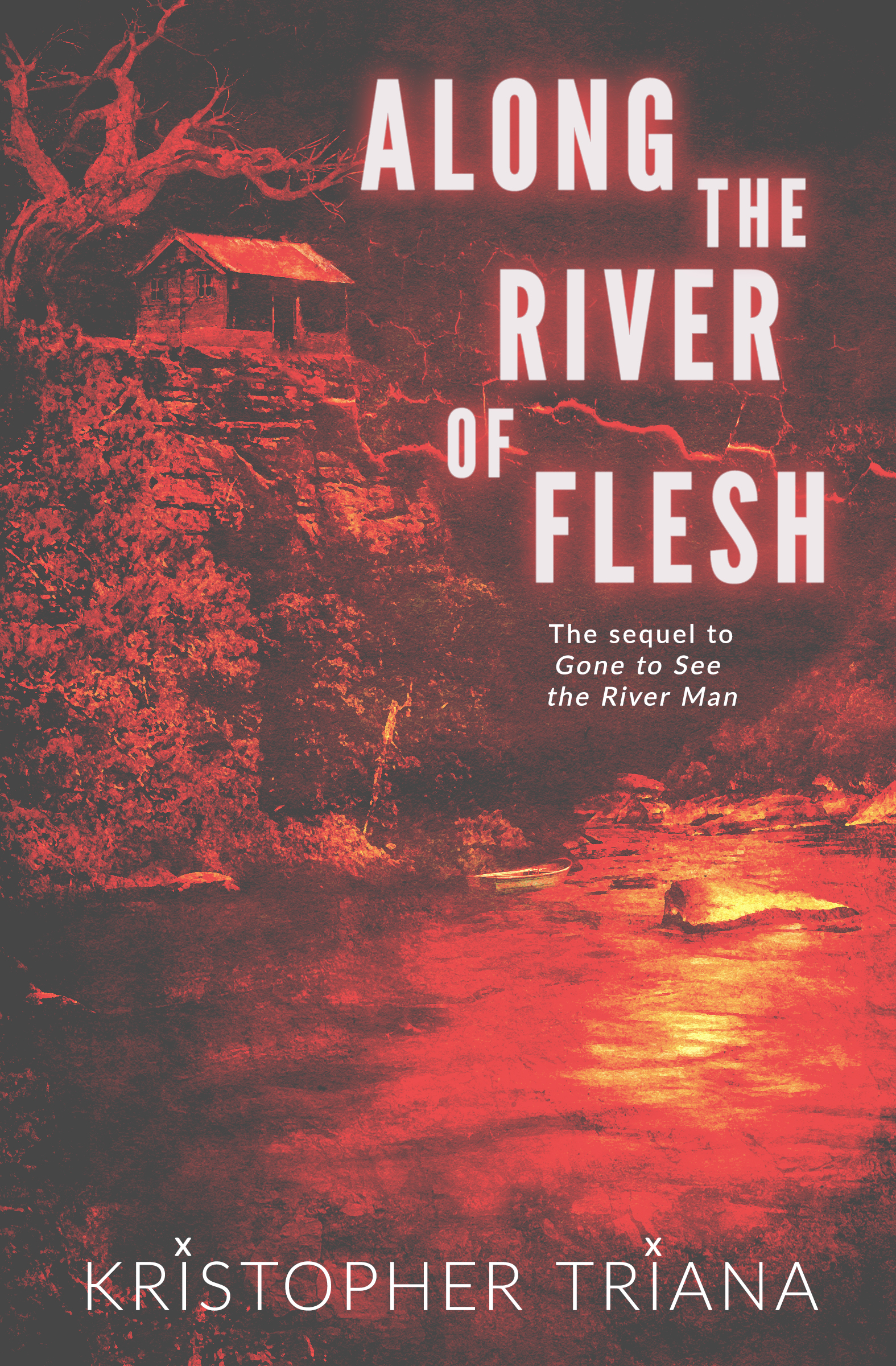 Gone to See the River Man book cover 2