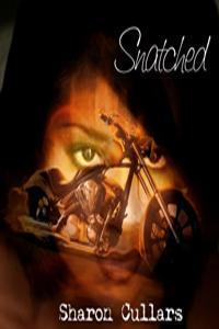 Snatched book cover