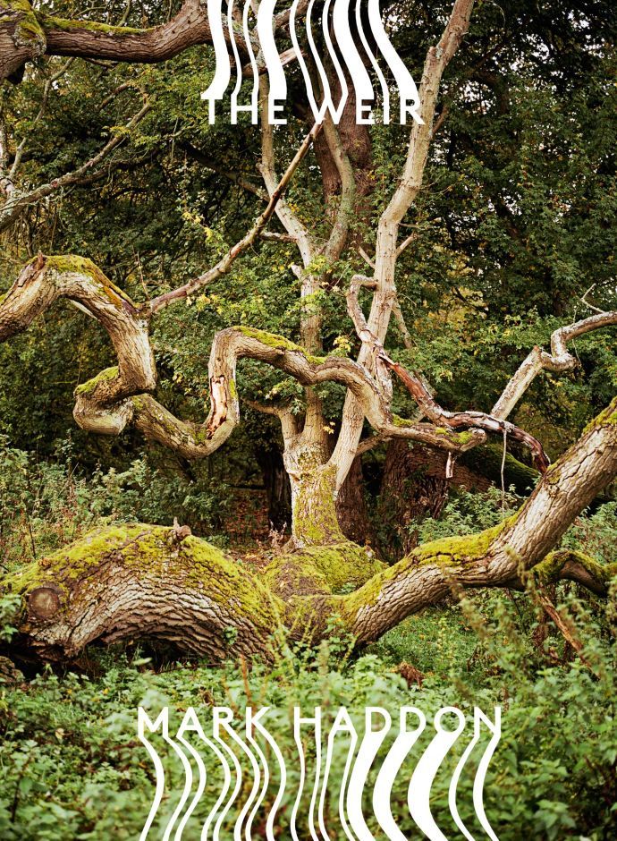 The Weir book cover