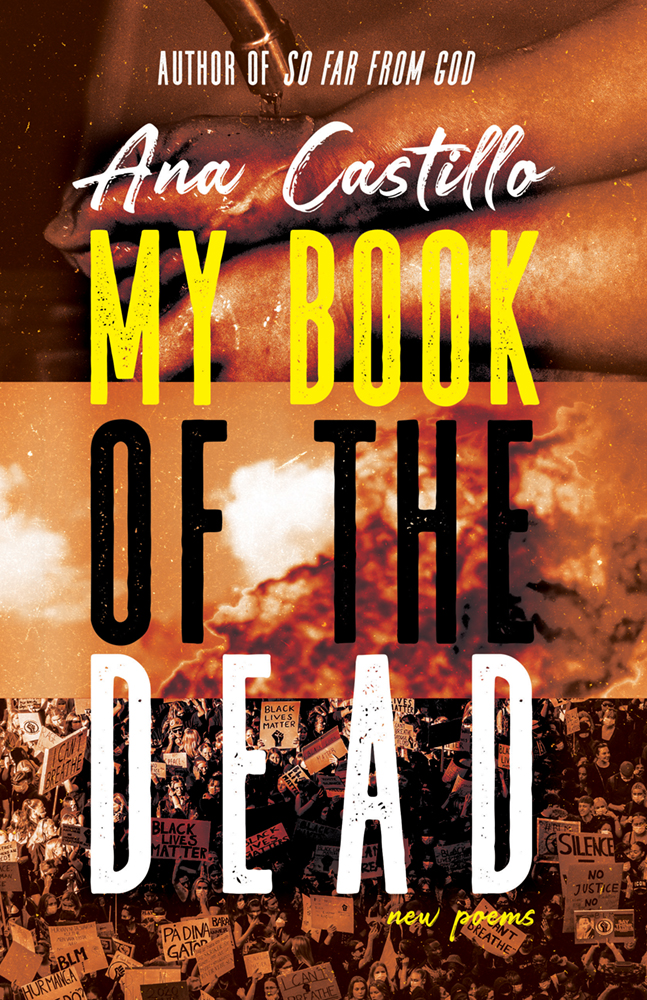 My Book of the Dead book cover