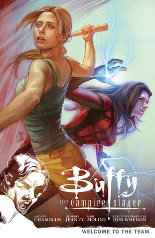 Buffy the Vampire Slayer book cover
