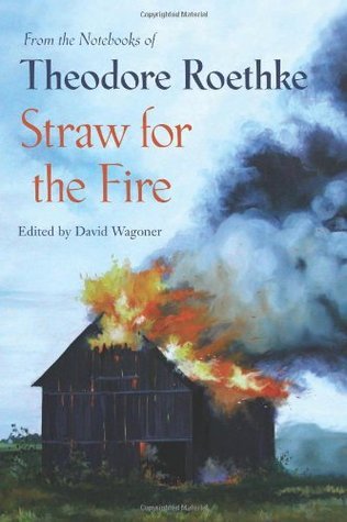 Straw for the Fire book cover