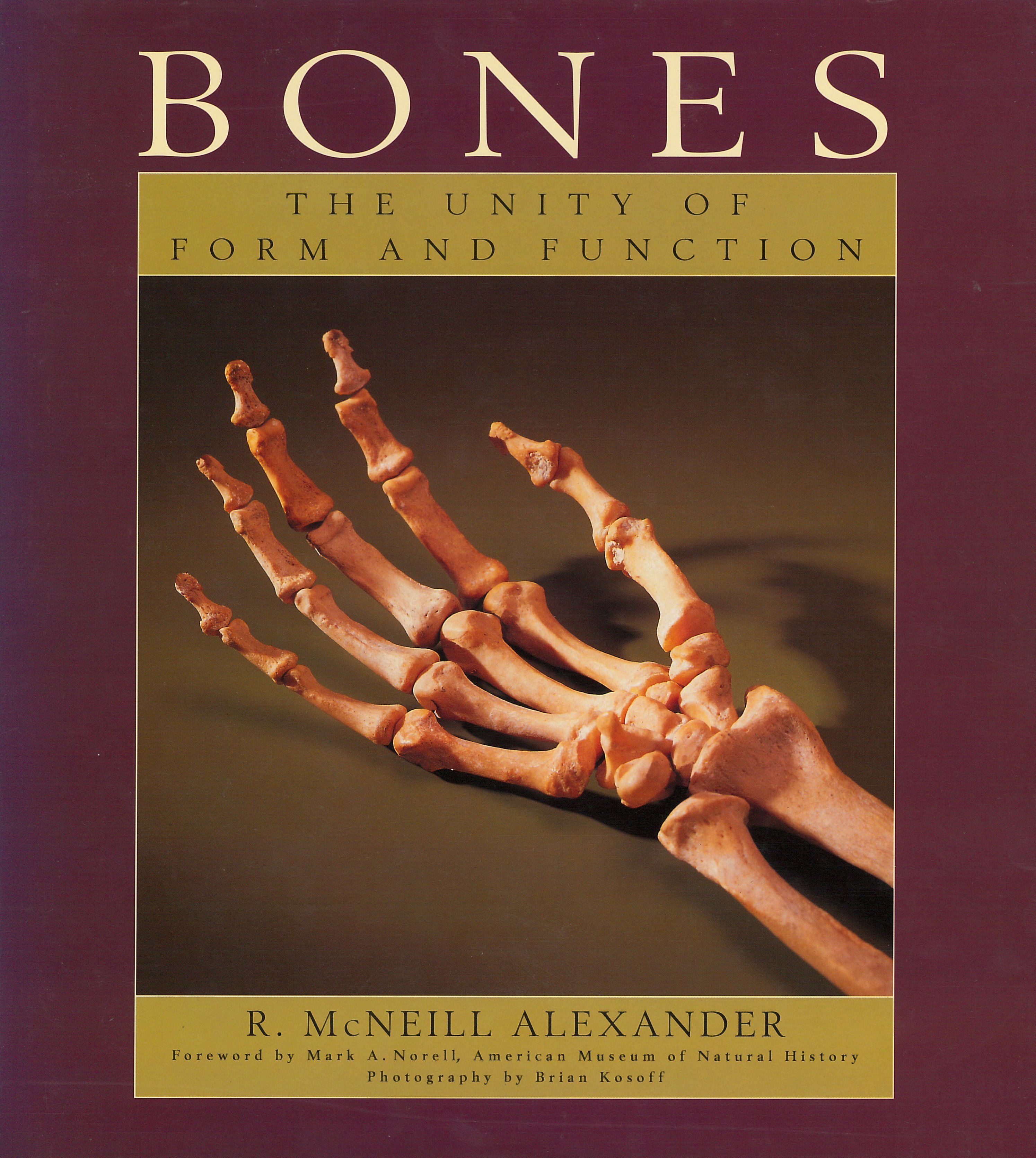 Bones book cover