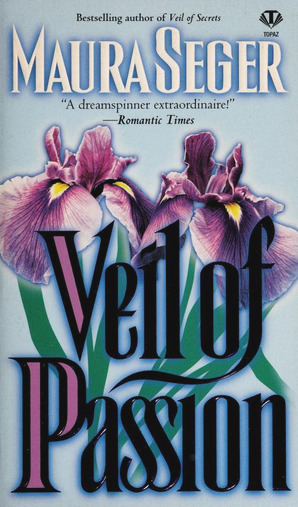 Veils book cover 2