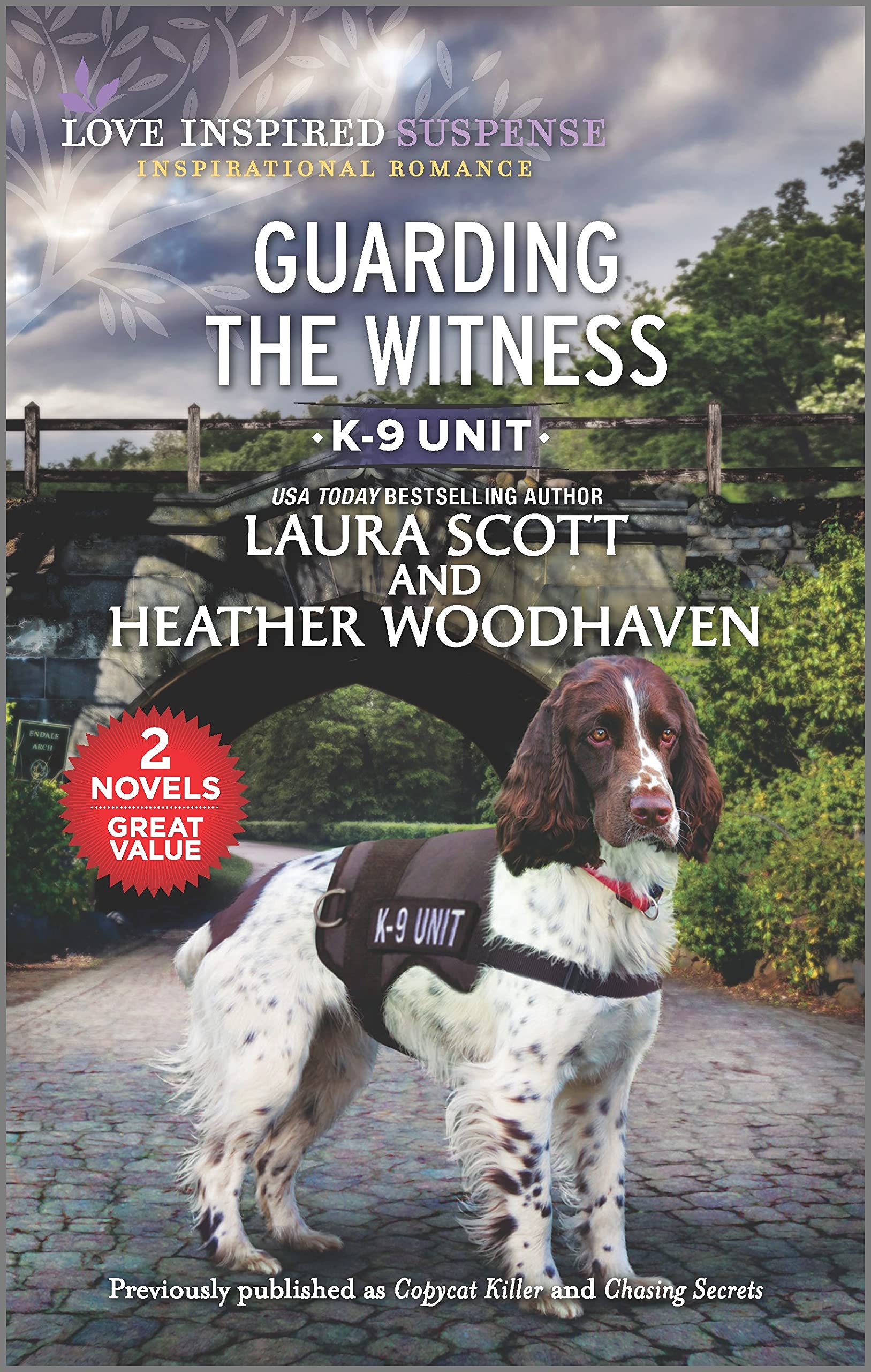 Guarding the Witness book cover