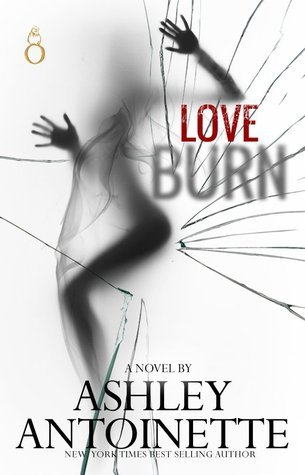 Love Burn Series book cover 1