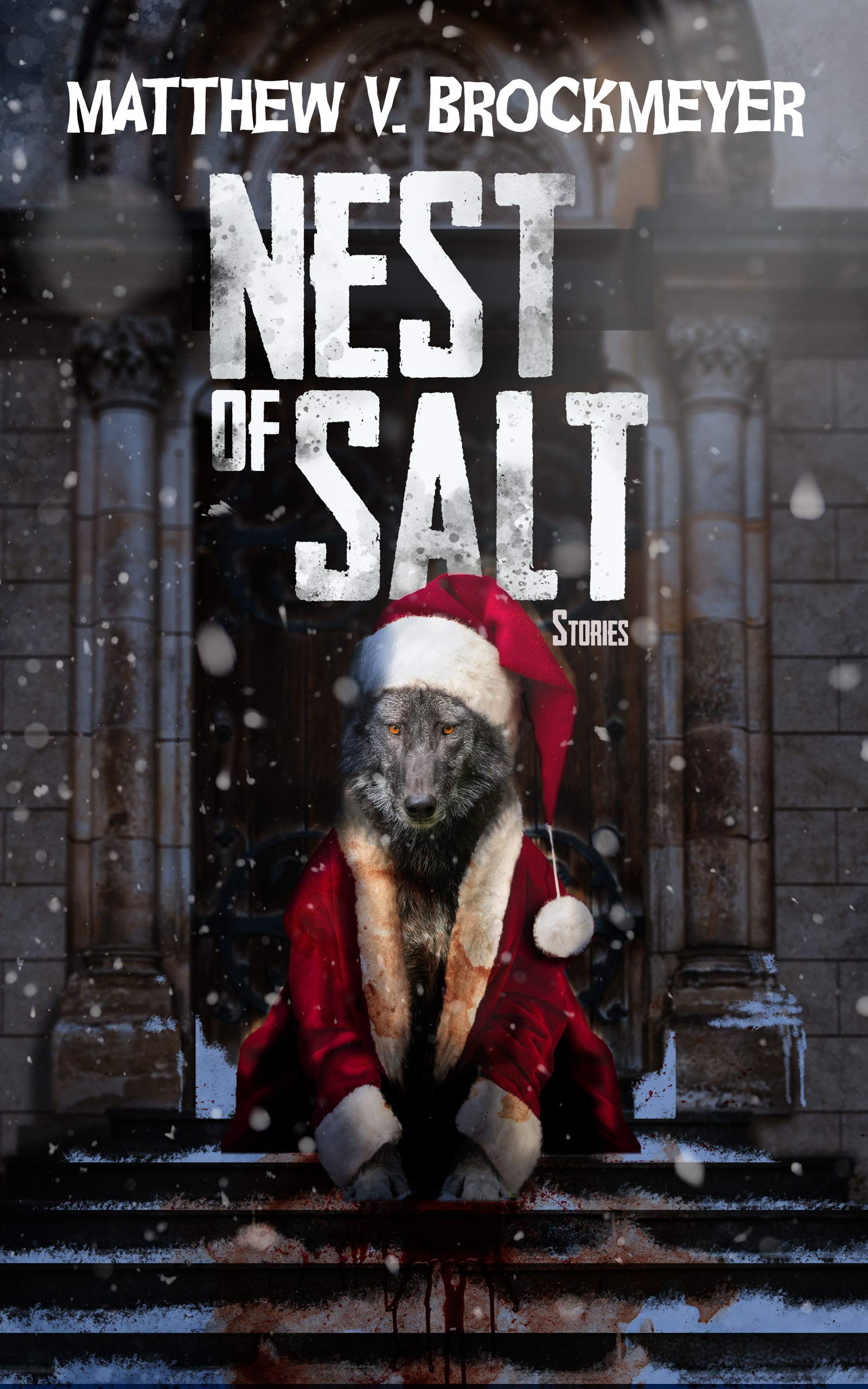 Nest of Salt book cover