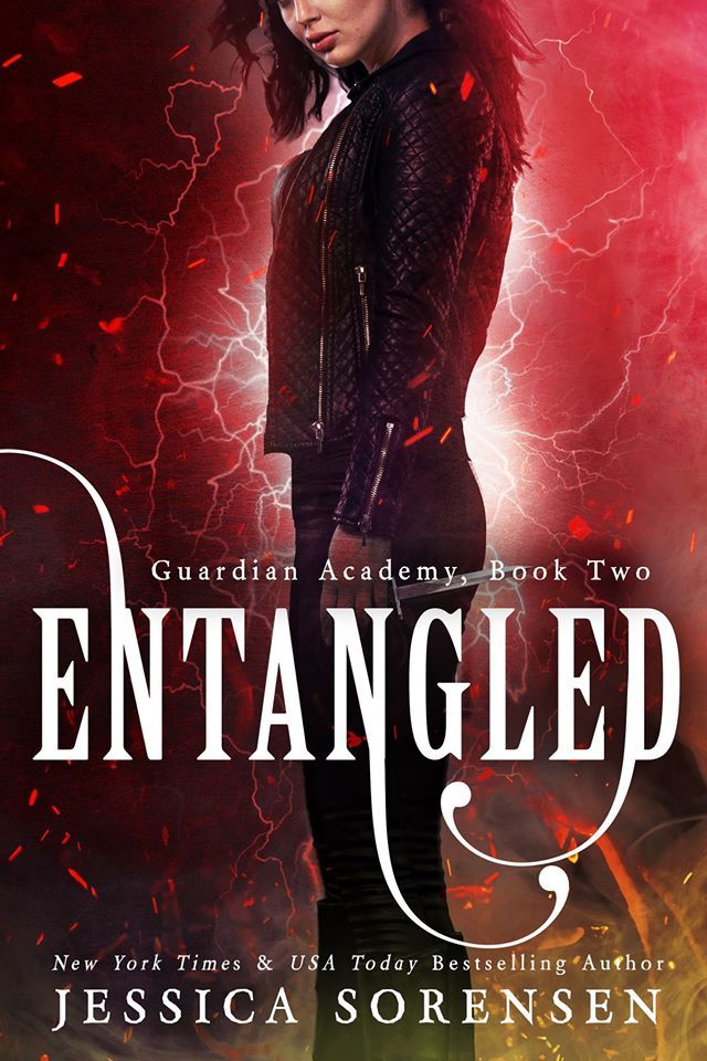 Guardian Academy book cover 1