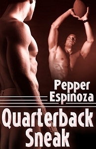 Quarterback Sneak book cover
