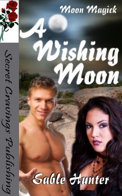 A Wishing Moon book cover