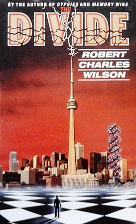 Divide book cover