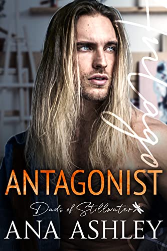 Dads of Stillwater book cover 2