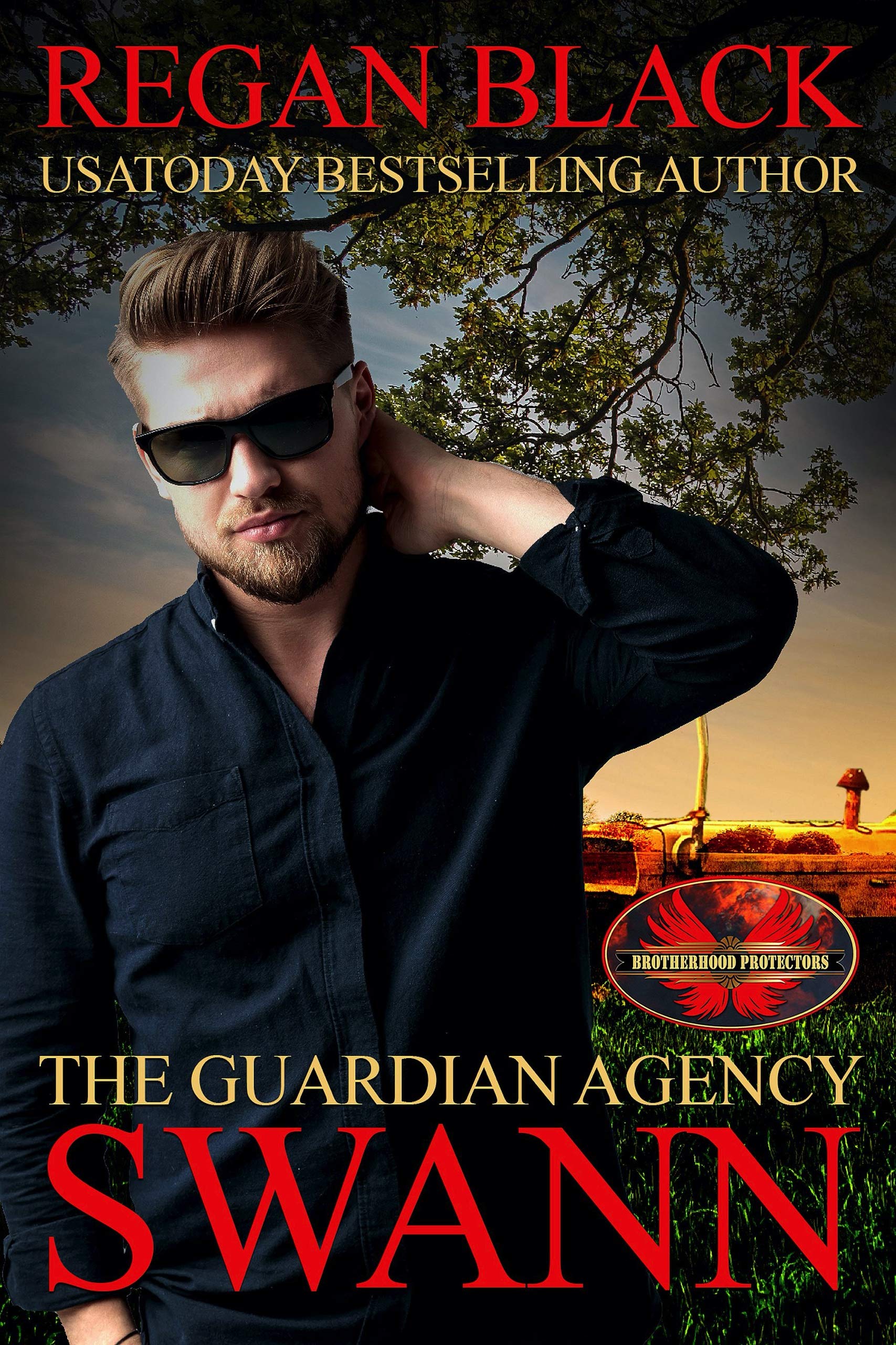 Swann book cover