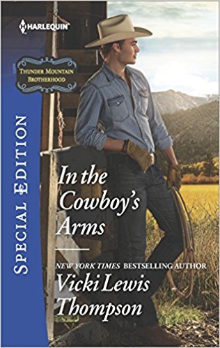 In the Cowboy's Arms book cover