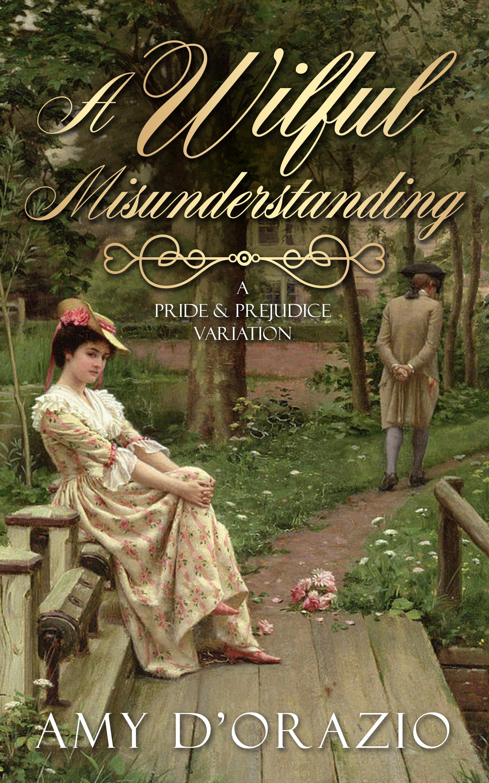 A Wilful Misunderstanding book cover