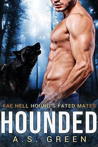 The North Shore Fae book cover 1