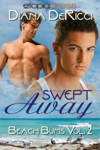 Swept Away book cover