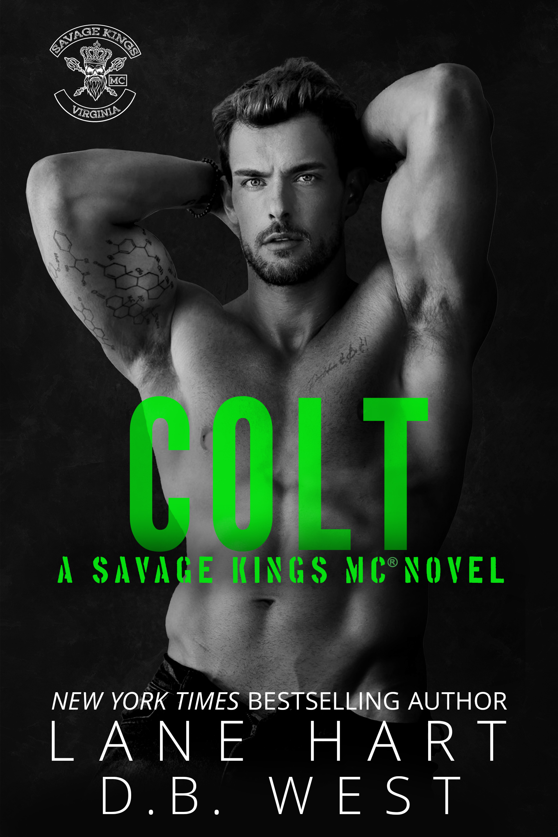 Savage Kings MC - Virginia book cover 2