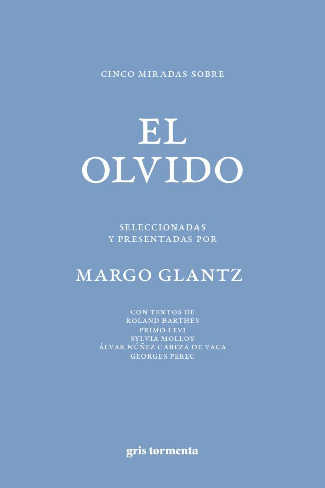 Cinco miradas sobre el olvido book cover