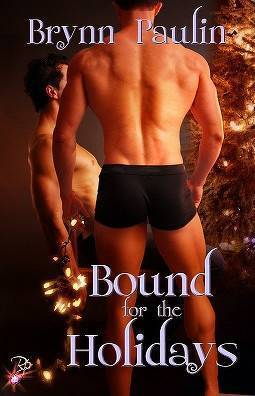 Bound for the Holidays book cover